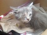     
: IMG_3600.jpg
: 10
:	116.2 
ID:	11248277