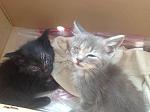     
: IMG_3611.jpg
: 11
:	104.0 
ID:	11248278
