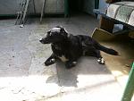     
: 20160611_155235.jpg
: 9
:	133.4 
ID:	11250774