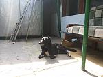     
: 20160611_155220.jpg
: 10
:	114.9 
ID:	11250777