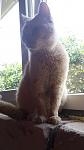    
: 20160614_113842.jpg
: 12
:	55.4 
ID:	11251734