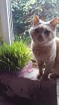     
: 20160614_114049.jpg
: 13
:	72.7 
ID:	11251736