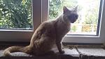     
: 20160614_113813.jpg
: 13
:	125.7 
ID:	11251738