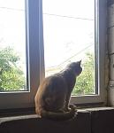     
: pers1.jpg
: 15
:	81.7 
ID:	11251739