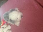     
: IMG_0367.jpg
: 12
:	89.4 
ID:	11252971