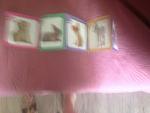     
: IMG_0376.jpg
: 13
:	100.4 
ID:	11252982