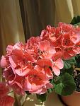     
: IMG_1193.jpg
: 6
:	85.2 
ID:	11253184