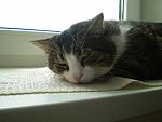     
: P2130053.JPG
: 10
:	44.1 
ID:	1125377