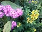     
: 20160615_201840.jpg
: 7
:	161.4 
ID:	11255341