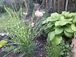     
: 20160615_201259.jpg
: 7
:	205.1 
ID:	11255342
