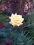     
: 20160615_202935.jpg
: 7
:	121.3 
ID:	11255343