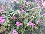     
: 20160615_202921.jpg
: 9
:	193.1 
ID:	11255344