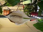     
: 20160616_091944.jpg
: 88
:	130.2 
ID:	11256098
