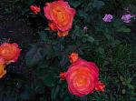     
: IMG_20160613_201134.jpg
: 15
:	194.7 
ID:	11259084