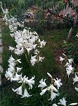     
: IMG_20160613_201059.jpg
: 14
:	233.5 
ID:	11259087