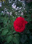     
: IMG_20160613_201017.jpg
: 15
:	93.4 
ID:	11259088