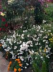     
: IMG_20160613_200915.jpg
: 15
:	265.7 
ID:	11259089
