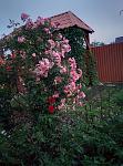     
: IMG_20160613_200948.jpg
: 16
:	205.2 
ID:	11259090