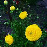     
: IMG_20160614_170939.jpg
: 15
:	125.1 
ID:	11259091