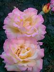     
: IMG_20160613_201345.jpg
: 14
:	92.7 
ID:	11259092