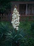    
: IMG_20160613_201454.jpg
: 14
:	134.5 
ID:	11259093