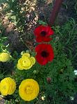    
: IMG_20160616_074419.jpg
: 13
:	201.9 
ID:	11259094