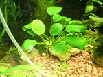     
: GEDC1651.jpg
: 12
:	129.3 
ID:	11259541