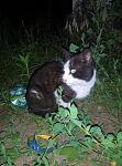     
: P60616-211743.jpg
: 27
:	117.5 
ID:	11260593