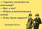    
: 13495287_503510526512153_5232870217523770521_n.jpg
: 12
:	31.7 
ID:	11266596