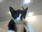     
: 20160621-173531.jpg
: 29
:	78.6 
ID:	11269196