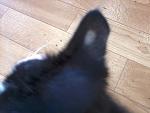     
: 20160621-172410.jpg
: 29
:	72.4 
ID:	11269198