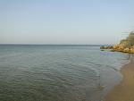     
: DSC03195.jpg
: 26
:	105.2 
ID:	11270058