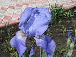     
: 13  2010.jpg
: 19
:	114.7 
ID:	1127140