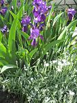    
: 13  2010-4.jpg
: 20
:	171.7 
ID:	1127153