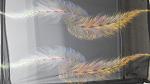     
: 20160618_100806.jpg
: 17
:	118.9 
ID:	11271815