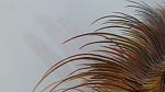     
: 20160618_100704.jpg
: 11
:	88.1 
ID:	11271816