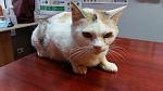     
: 20160524_114538.jpg
: 27
:	76.7 
ID:	11272055