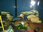     
: GEDC2756.JPG
: 32
:	142.9 
ID:	11273638