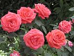     
: IMG_1323.jpg
: 10
:	133.7 
ID:	11274071