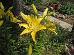     
: IMG_1325.jpg
: 11
:	206.1 
ID:	11274072