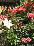     
: IMG_1326.jpg
: 15
:	169.3 
ID:	11274074