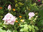     
: IMG_1327.jpg
: 19
:	201.9 
ID:	11274075