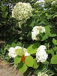     
: IMG_1322.jpg
: 17
:	160.6 
ID:	11274080
