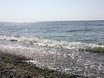     
: image.jpeg
: 35
:	86.7 
ID:	11274444