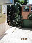     
: IMG_1218.JPG
: 78
:	153.6 
ID:	11274648