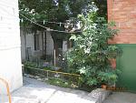     
: IMG_1219.JPG
: 79
:	146.1 
ID:	11274649