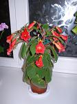     
: DSC09273.jpg
: 25
:	80.2 
ID:	11275765