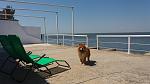     
: 20160626_113643.jpg
: 83
:	107.6 
ID:	11278589