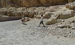     
: 20150929_122834.jpg
: 29
:	230.9 
ID:	11281911