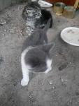     
: IMG_20160628_094919.jpg
: 21
:	71.7 
ID:	11282456